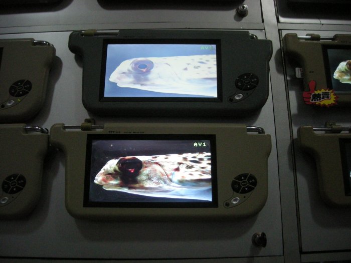 PAIR 9" Inch TFT LCD VISOR SUNVISOR MONITORS for DVD