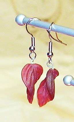 Burgundy Leaf Earrings