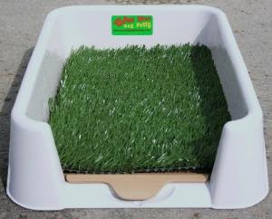Mini Pee Wee Dog Potty