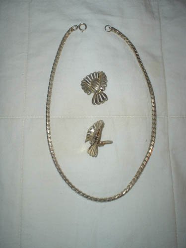 Silver Chain and Earrings