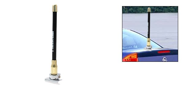Car Auto Antenna for Decoration