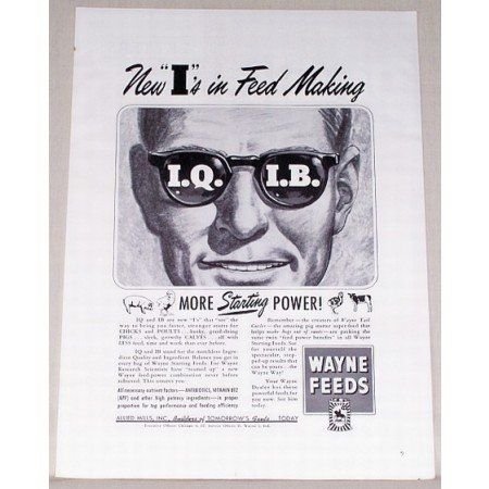 1951 Wayne Feeds Print Ad - New I's In Feed Making