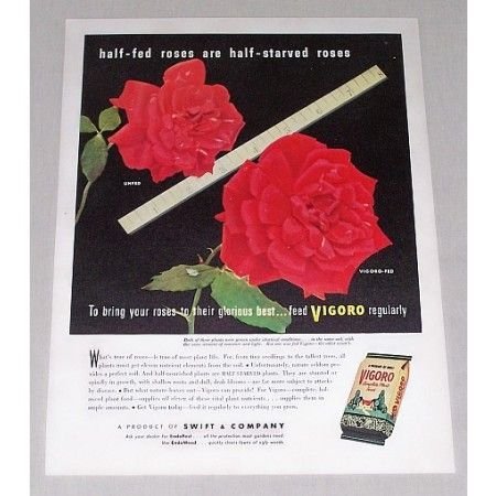 1946 Vigoro Complete Plant Food Roses Color Ad