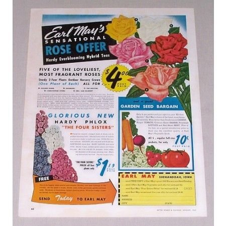 1945 Earl May's Sensational Rose Offer Color Print Ad