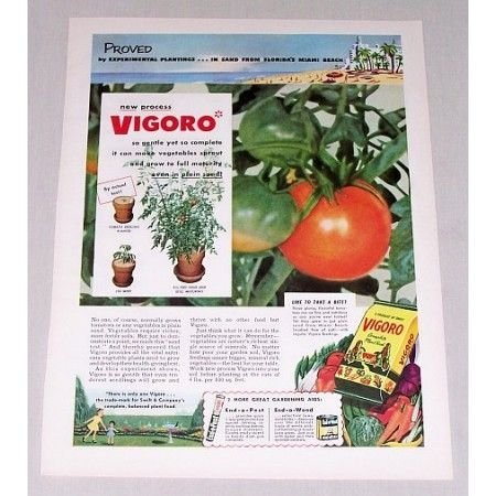1952 Vigoro Complete Plant Food Tomatoes Color Print Ad