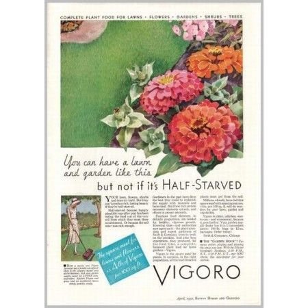 1932 Vigoro Plant Food Color Print Ad