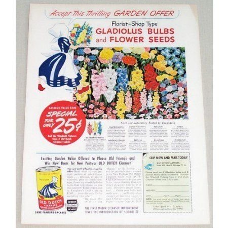 1949 Old Dutch Cleanser Garden Bulbs Seeds Offer Color Print Ad