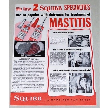 1951 Squibb Veterinary Penicillin Ointment Color Print Ad