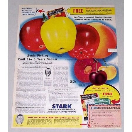 1946 Stark Nurseries and Orchards Apples Fruit Color Print Ad
