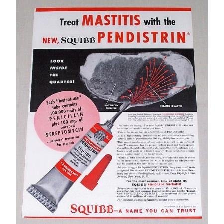 1951 Squibb Veterinary Pendistrin Penicillin Color Print Ad