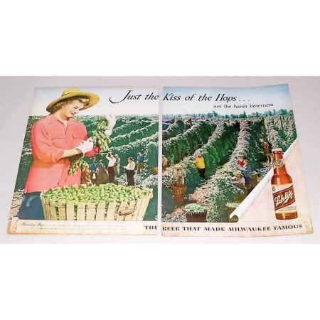 1946 Schlitz Beer Color 2 Page Color Print Ad - Harvesting Hops