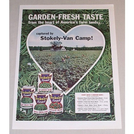 1958 Stokely's Van Camps Green Beans Color Print Ad