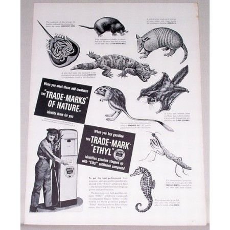 1948 Ethyl Trade-Marks of Nature Animal Art Vintage Print Ad