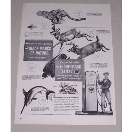 1949 Ethyl Gasoline Animal Art Vintage Print Ad - Trademarks of Nature