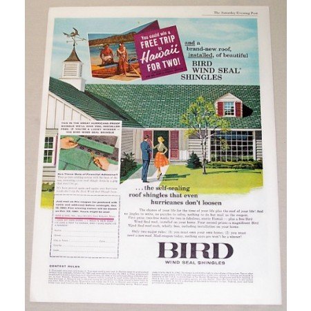 1961 Bird Wind Seal Roof Shingles Color Print Ad