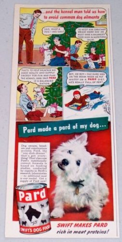 1947 Pard Swift's Dog Food Cartoon Art Color Print Ad