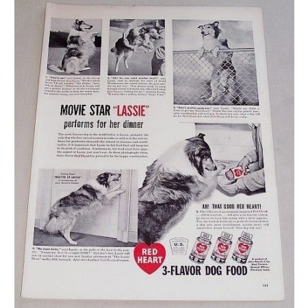 1948 Red Heart Dog Food Vintage Print Ad Celebrity Dog Lassie