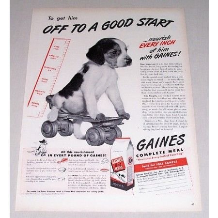 1946 Gaines Dog Meal Vintage Print Ad - Puppy On Roller Skate