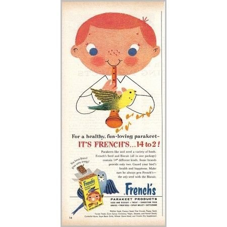 1959 French's Parakeet Bird Seed Music Art Vintage Print Ad