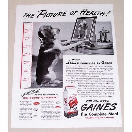 1945 Gaines Dog Meal Vintage Print Ad - The Picture Of Health
