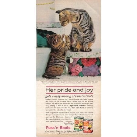 1962 Puss 'N Boots Cat Food Vintage Color Print Ad - Pride And Joy