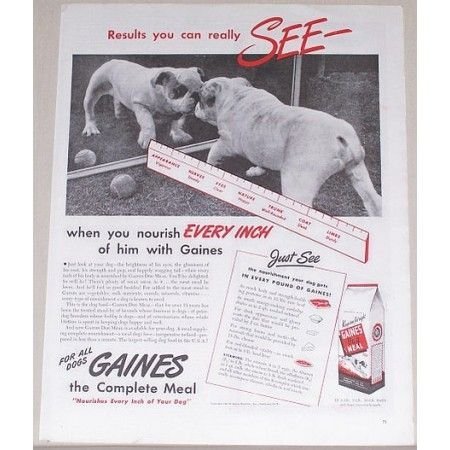 1945 Gaines Dog Meal Food Vintage Print Ad - Results You Can See