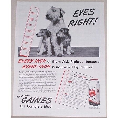 1944 Gaines Dog Meal Food Vintage Print Ad - Eyes Right!