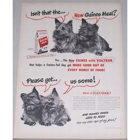 1948 Gaines Meal Dog Food Vintage Print Ad