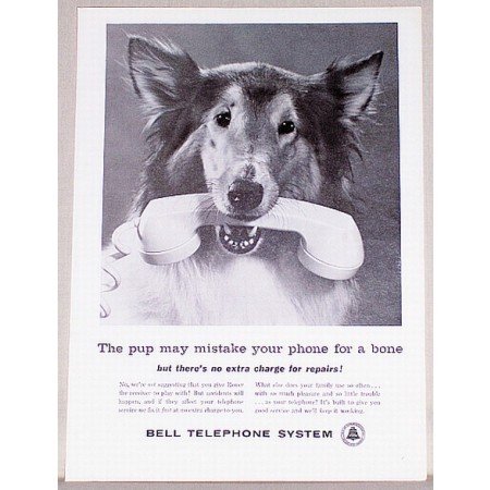 1961 Bell Telephone Systems Dog Animal Vintage Print Ad - Phone For A Bone