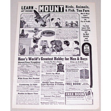 1961 Learn At Home Taxidermy Vintage Print Ad - Mount Birds Fish..