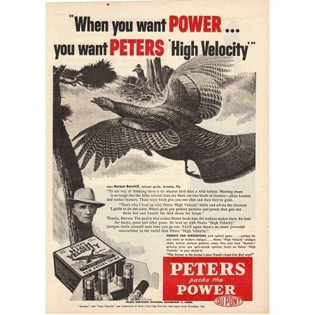 1955 Peters High Velocity Gun Shells Wild Turkey Art Vintage Print Ad