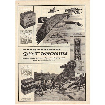 1955 Winchester Shotgun Shells Hunting Fowl Rabbit Art Vintage Print Ad