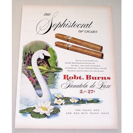 1951 Robt. Burns Panatela Deluxe Cigars Swan Animal Art Color Print Ad