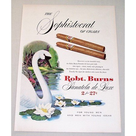 1951 Robt. Burns Panatela Deluxe Cigars Color Print Swan Art Ad