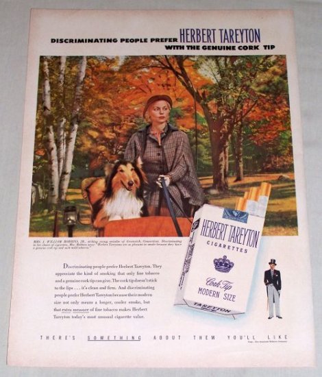 1953 Herbert Tareyton Cigarettes Fall Art Color Tobacco Print Ad