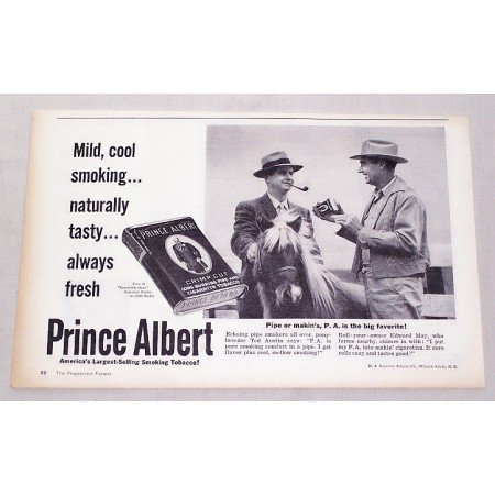 1959 Prince Albert Pipe Tobacco Vintage Print Ad - Pony Breeder