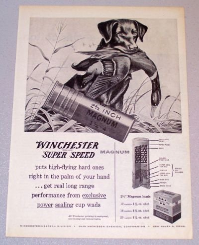 1956 WINCHESTER Super Speed Shotgun Shells Hunting Dog Duck Art Print Ad