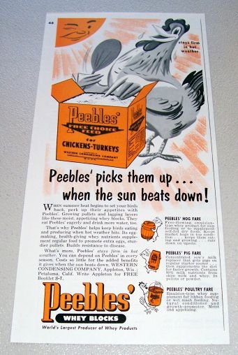 1955 Peeble's Free Choice Feed Chicken Art Print Ad