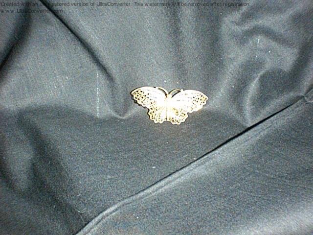 Lovely butterfly pin