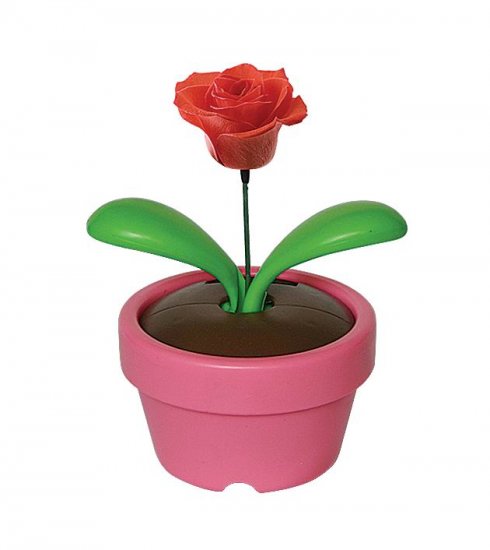 solar craft (swaying flower)