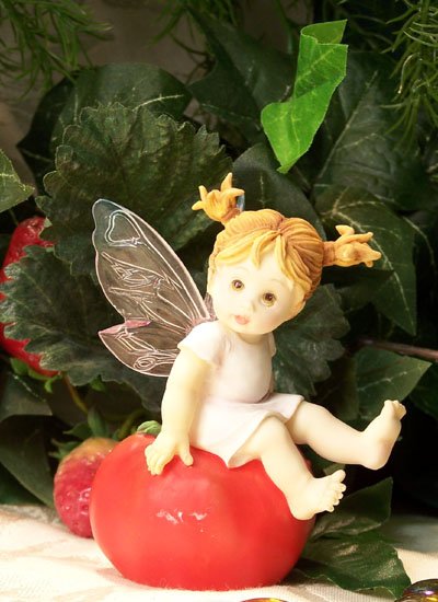 Kitchen Fairy on Tomato