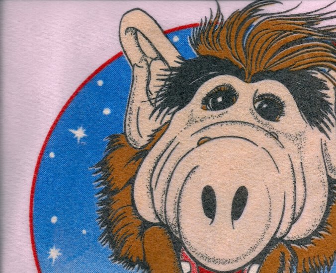 Flannel "Alf" Pillow Squares