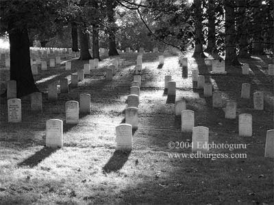 "Days End" Arlington National Cemetary Washington Fine Art Photo Military Eddie Burgess