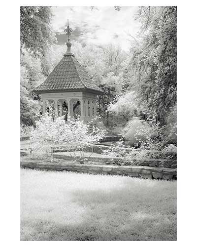 "Cupola # 11 " Austin Texas Zilker Park Fantasy Infrared Landscape Fine Art Photo Garden