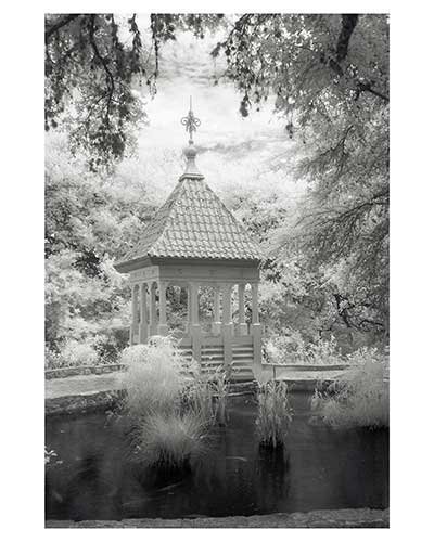 "Cupola # 9" Austin Texas Zilker Park Gazebo Infrared Landscape Fine Art Photo trees
