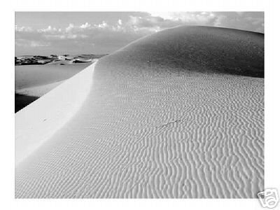 "Monahans Sandhills" Monahans Sandhills Dunes Landscape Fine Art Photo Desert Ed Burgess