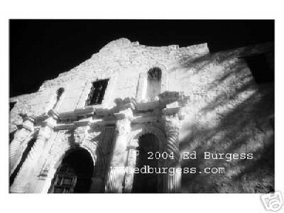 "Alamo" Alamo Texas Landscape Infrared Fine Art Photo