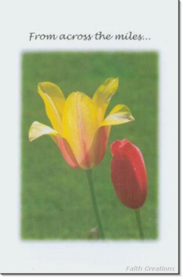 #M4U0393 Yellow Flower Across the Miles Greeting Card