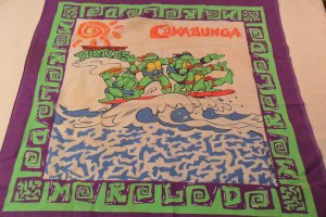 Ninja Turtles Bandana