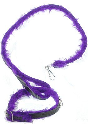 DOG COLLAR